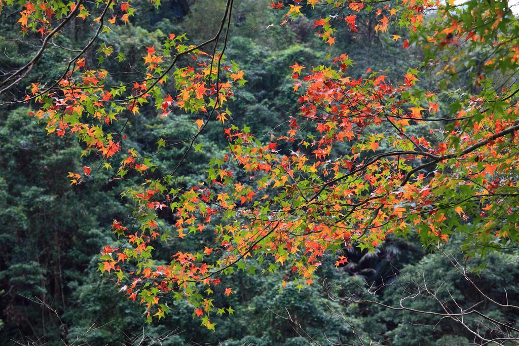 Spring Spa Hotel Wulai Exterior foto